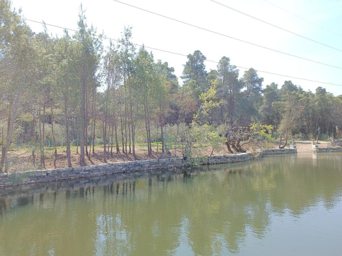Kavalona 3*